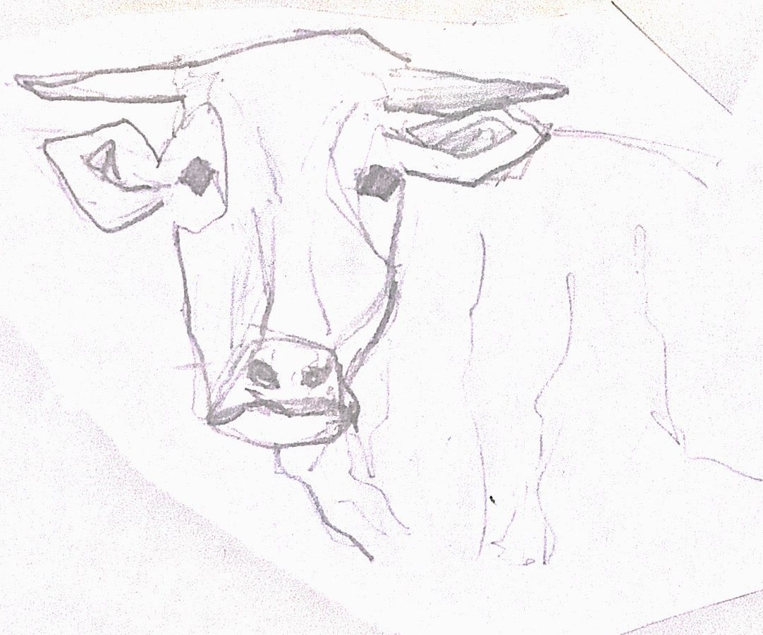 Sketch 1