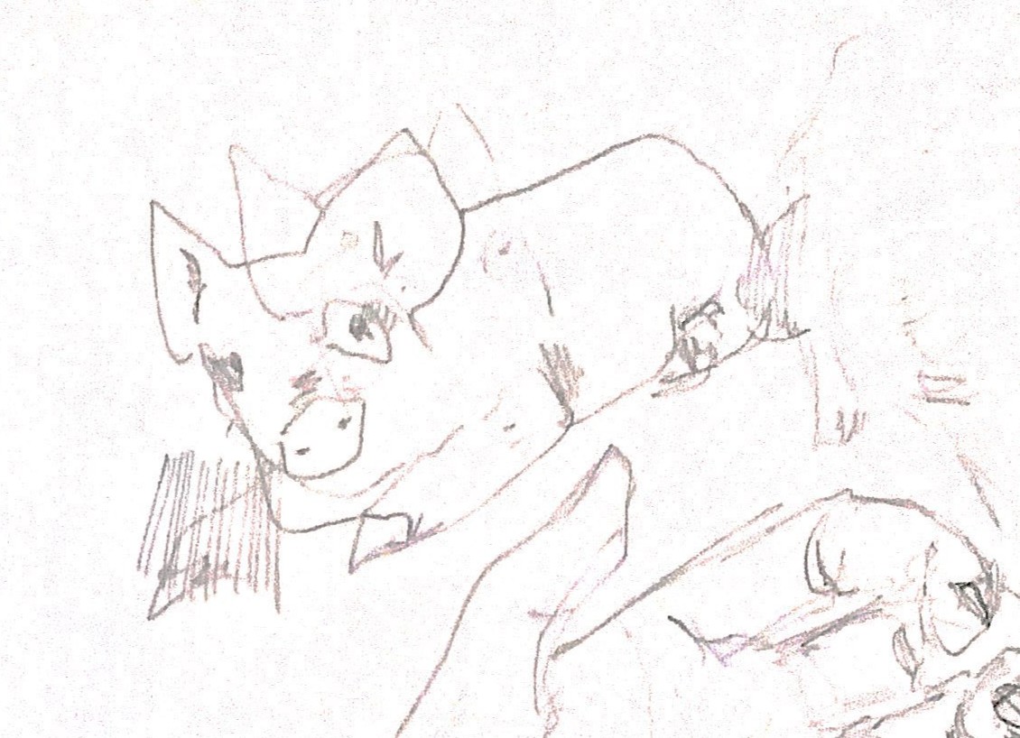 Sketch 4