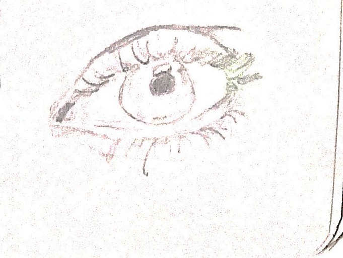 Sketch 5